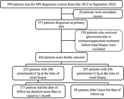 Characteristics and Prognostic Value of Tertiary Lymphoid Organs in Membranous Nephropathy: A Retrospective Study